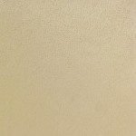 Micro Passion Suede Fabric Sold By The Yard Oyster